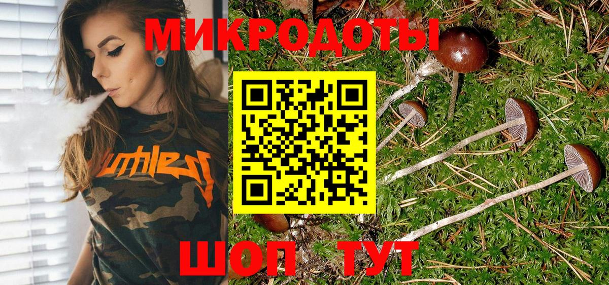 Псилоцибиновые грибы Psilocybine cubensis Азнакаево